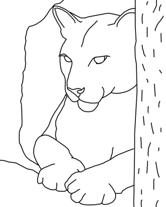 Dibujos de pumas » PUMAPEDIA